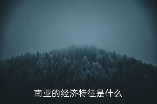 南亞的經(jīng)濟(jì)特征是什么