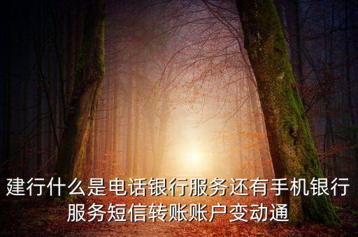 建行賬戶(hù)變動(dòng)通知是什么，什么是建行的手機(jī)銀行怎么收費(fèi)的賬戶(hù)變動(dòng)短信提醒是里面的一項(xiàng)