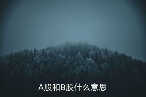 什么叫a股什么叫b股，A股和B股什么意思