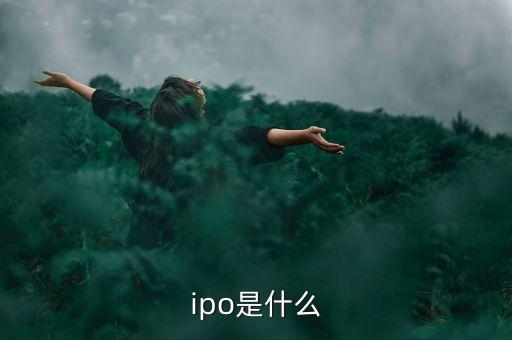 ipo制度是什么，ipo是什么