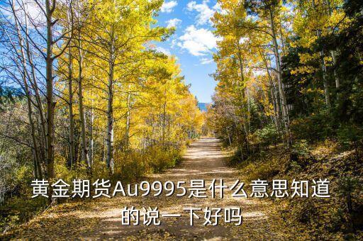 au9995是什么意思，黃金期貨Au9995是什么意思
