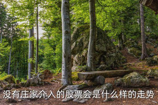 什么是股票心電圖走勢(shì)，啥是心電圖股票