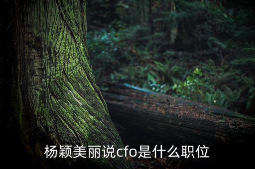 美麗說(shuō)cfo是什么意思，楊穎成為美麗說(shuō)的cfo是什么意思