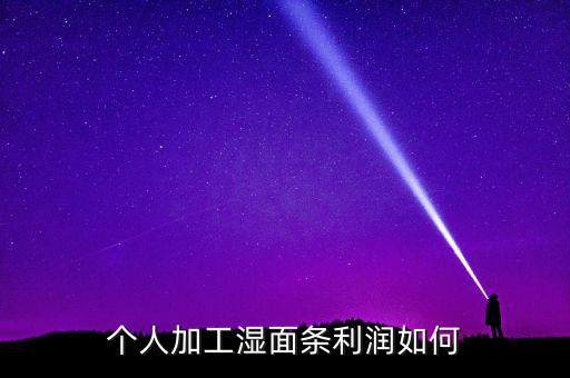 個人加工濕面條利潤如何