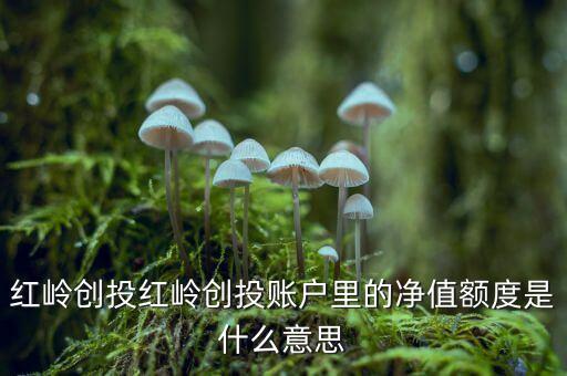 紅嶺創(chuàng)投紅嶺創(chuàng)投賬戶里的凈值額度是什么意思
