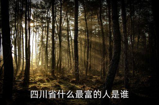 四川省什么最富的人是誰(shuí)