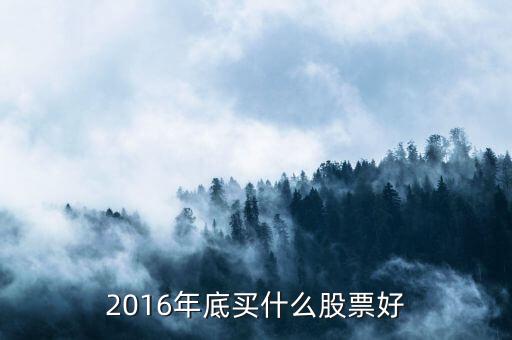 2016年底買(mǎi)什么股票好