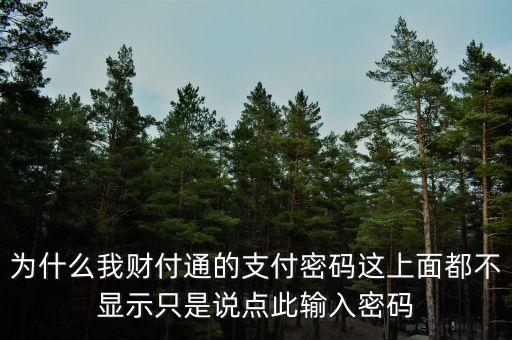 為什么有的有財(cái)通密碼有的沒有，我用手機(jī)在網(wǎng)上開通的財(cái)通證劵有帳號(hào) 怎么沒有密碼啊