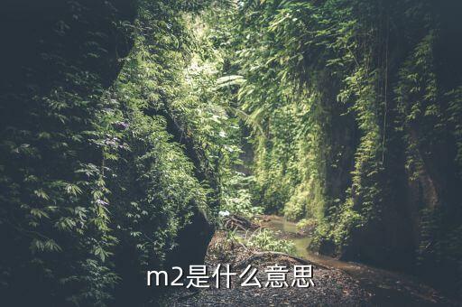 中國(guó)m2是什么，m2是什么意思