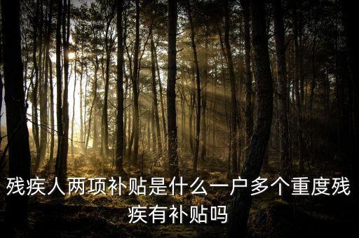 什么是殘疾人兩項補貼，殘疾人兩項補貼是什么一戶多個重度殘疾有補貼嗎
