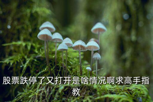 跌停反復(fù)打開說明什么，股票跌停了又打開是啥情況啊求高手指教