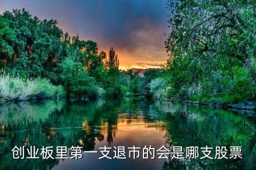 中國(guó)第一只退市的是什么股票，我國(guó)第一家退市的上市公司是瓊民源A還是PT水仙哪里有資