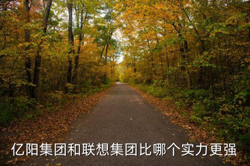 億陽集團的發(fā)展戰(zhàn)略是什么，億陽集團和聯想集團比哪個實力更強