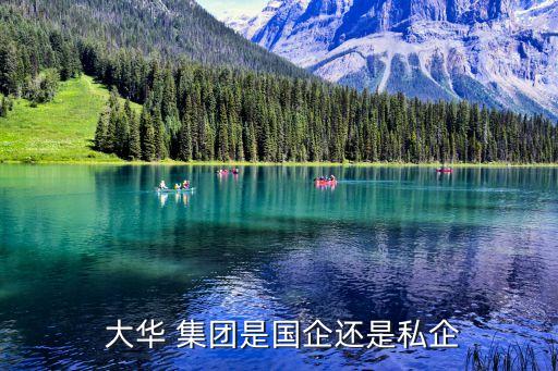  大華 集團是國企還是私企