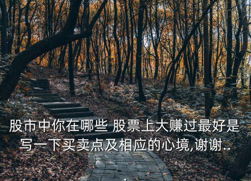 股市中你在哪些 股票上大賺過(guò)最好是寫(xiě)一下買賣點(diǎn)及相應(yīng)的心境,謝謝...