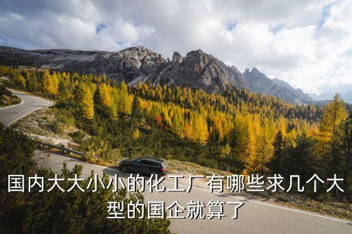 國內(nèi)大大小小的化工廠有哪些求幾個(gè)大型的國企就算了