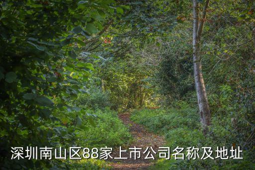 深圳南山區(qū)88家上市公司名稱(chēng)及地址