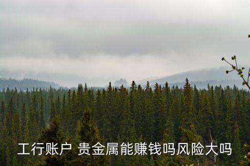 工行賬戶 貴金屬能賺錢嗎風險大嗎