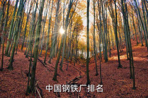 中國鋼鐵廠排名