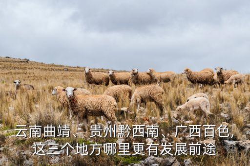 云南曲靖、 貴州黔西南、廣西百色,這三個(gè)地方哪里更有發(fā)展前途