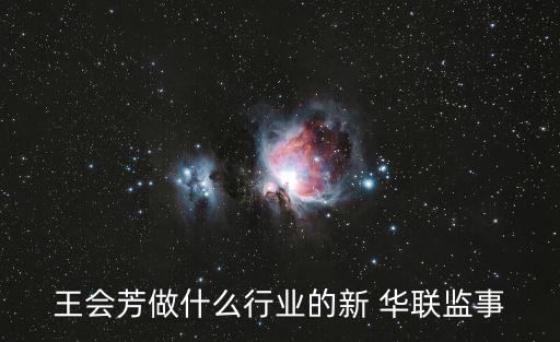 新華聯(lián)集團(tuán)財務(wù)公司