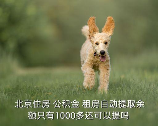  北京住房 公積金 租房自動(dòng)提取余額只有1000多還可以提嗎