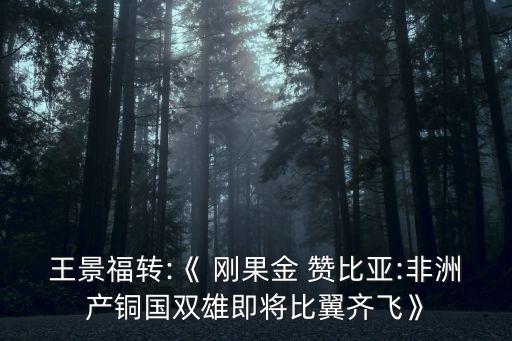 金川集團公司工程建設公司剛果金