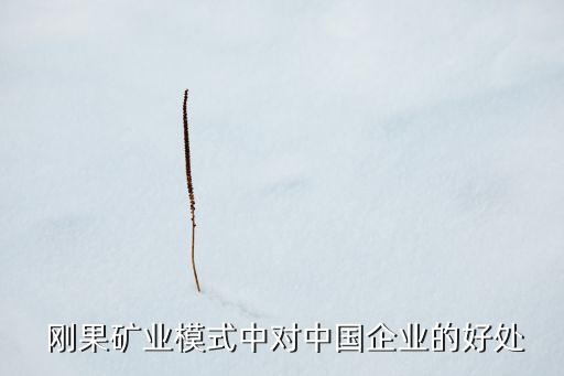  剛果礦業(yè)模式中對(duì)中國(guó)企業(yè)的好處