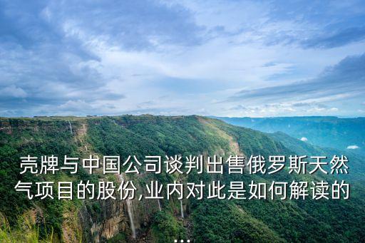  殼牌與中國公司談判出售俄羅斯天然氣項目的股份,業(yè)內對此是如何解讀的...