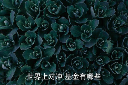 世界上對(duì)沖 基金有哪些