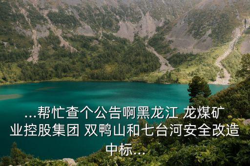 龍煤雙鴨山子公司,雙鴨山龍煤集團(tuán)董事長