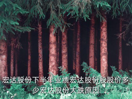 宏達(dá)股份下半年業(yè)績宏達(dá)股份股股價(jià)多少宏達(dá)股份大跌原因
