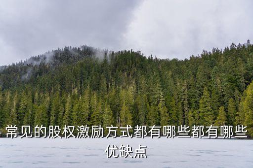 常見(jiàn)的股權(quán)激勵(lì)方式都有哪些都有哪些優(yōu)缺點(diǎn)