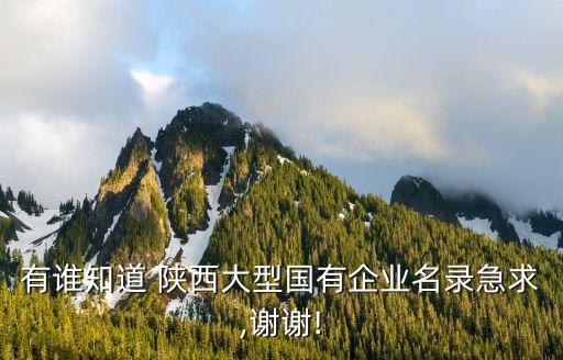 有誰知道 陜西大型國(guó)有企業(yè)名錄急求,謝謝!