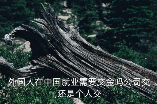  外國(guó)人在中國(guó)就業(yè)需要交金嗎公司交,還是個(gè)人交