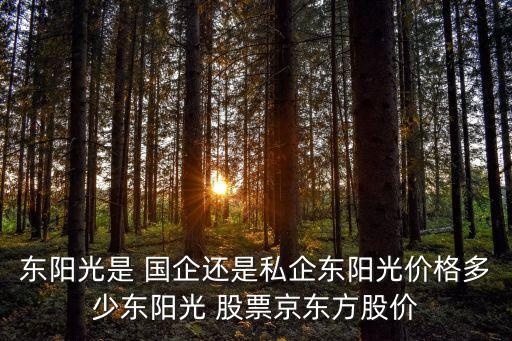 東陽(yáng)光是 國(guó)企還是私企東陽(yáng)光價(jià)格多少東陽(yáng)光 股票京東方股價(jià)