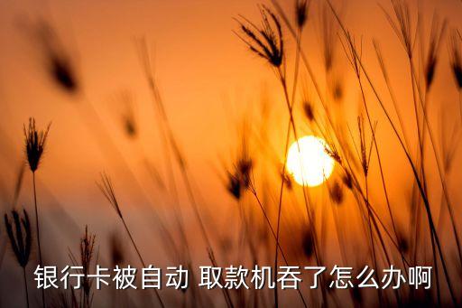  銀行卡被自動 取款機(jī)吞了怎么辦啊