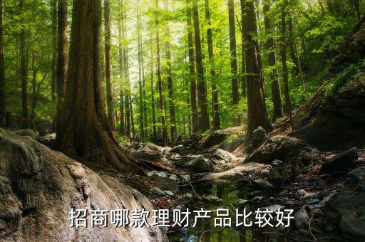 招商哪款理財(cái)產(chǎn)品比較好