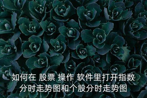 如何在 股票 操作 軟件里打開(kāi)指數(shù)分時(shí)走勢(shì)圖和個(gè)股分時(shí)走勢(shì)圖