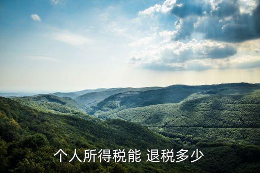 個人所得稅能 退稅多少