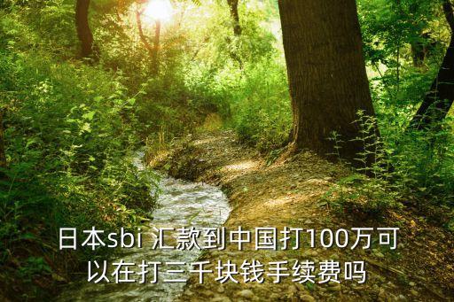 日本sbi 匯款到中國(guó)打100萬(wàn)可以在打三千塊錢手續(xù)費(fèi)嗎