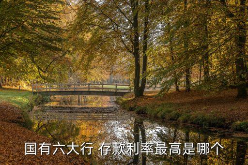 國(guó)有六大行 存款利率最高是哪個(gè)