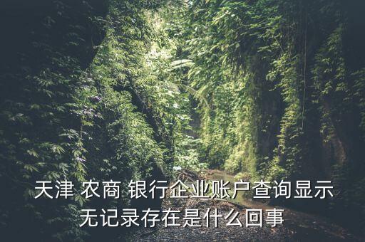  天津 農商 銀行企業(yè)賬戶查詢顯示無記錄存在是什么回事