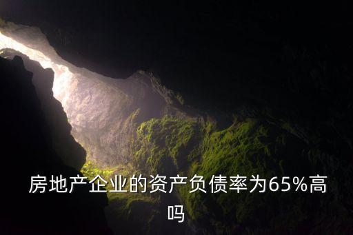  房地產(chǎn)企業(yè)的資產(chǎn)負債率為65%高嗎