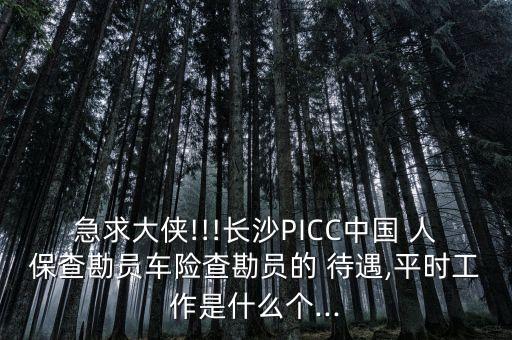 急求大俠!!!長沙PICC中國 人保查勘員車險(xiǎn)查勘員的 待遇,平時(shí)工作是什么個(gè)...