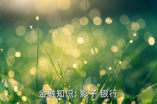 金融知識(shí): 影子 銀行