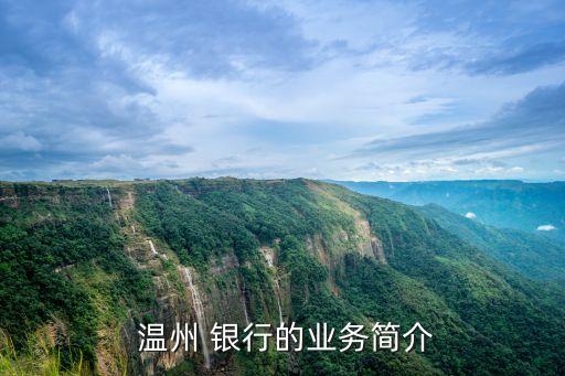  溫州 銀行的業(yè)務簡介