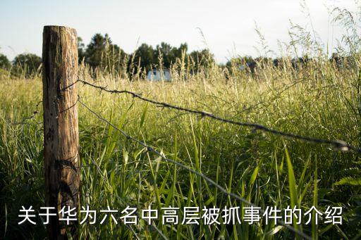 關于華為六名中高層被抓事件的介紹