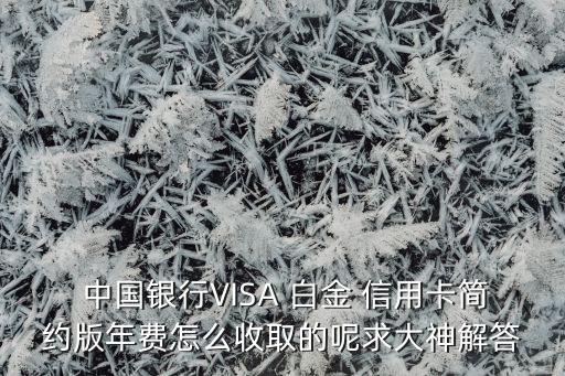  中國(guó)銀行VISA 白金 信用卡簡(jiǎn)約版年費(fèi)怎么收取的呢求大神解答