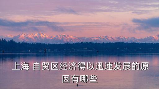  上海 自貿(mào)區(qū)經(jīng)濟(jì)得以迅速發(fā)展的原因有哪些